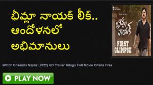 Bheemla Nayak Telugu Full Movie Download Movierulz