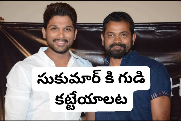 సుకుమార్ కి గుడి కట్టేయాలట