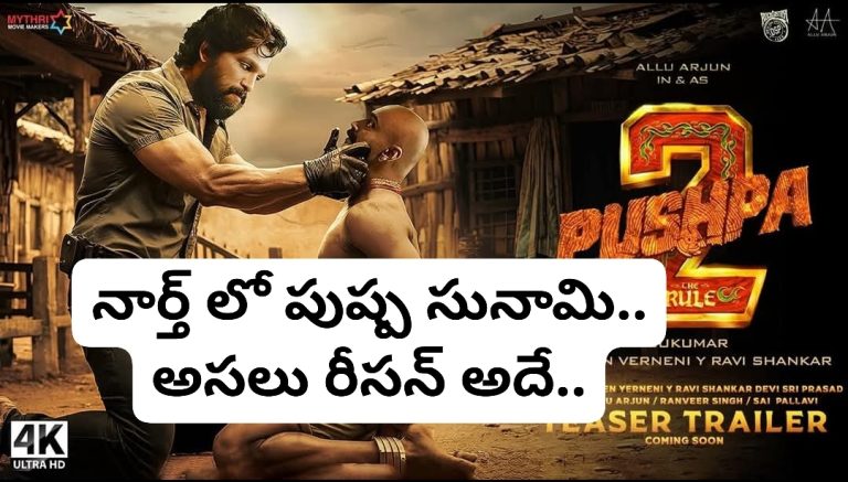 నార్త్ లో పుష్ప సునామి.. అసలు రీసన్ అదే..