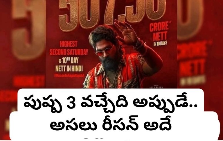 పుష్ప 3 వచ్చేది అప్పుడే.. అసలు రీసన్ అదే