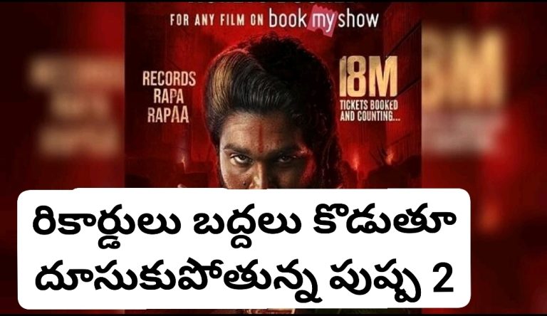 రికార్డులు బద్దలు కొడుతూ దూసుకుపోతున్న పుష్ప 2