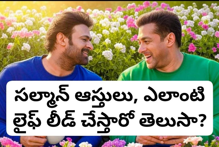 సల్మాన్ ఆస్తులు, ఎలాంటి లైఫ్ లీడ్ చేస్తారో తెలుసా?