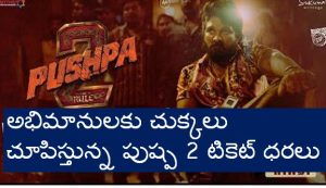 pushpa 2 ticket price