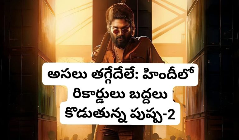 అసలు తగ్గేదేలే: హిందీలో రికార్డులు బద్దలు కొడుతున్న పుష్ప-2
