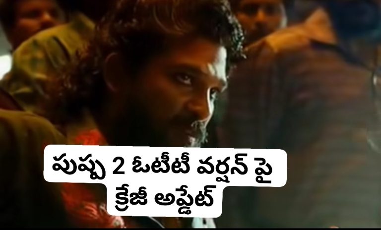 పుష్ప 2 ఓటీటీ వర్షన్ పై క్రేజీ అప్డేట్