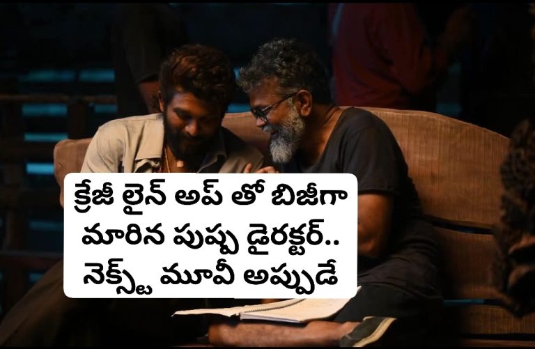 క్రేజీ లైన్ అప్ తో బిజీగా మారిన పుష్ప డైరక్టర్.. నెక్స్ట్ మూవీ అప్పుడే