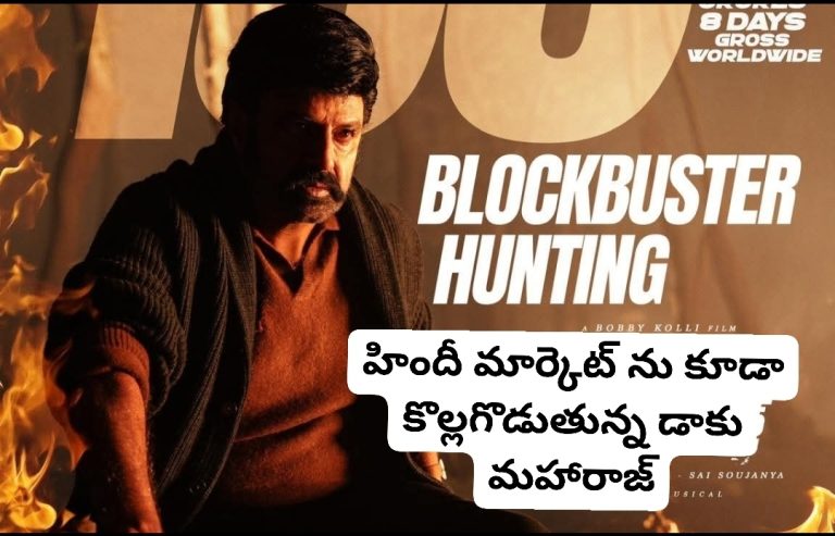 హిందీ మార్కెట్ ను కూడా కొల్లగొడుతున్న డాకు మహారాజ్