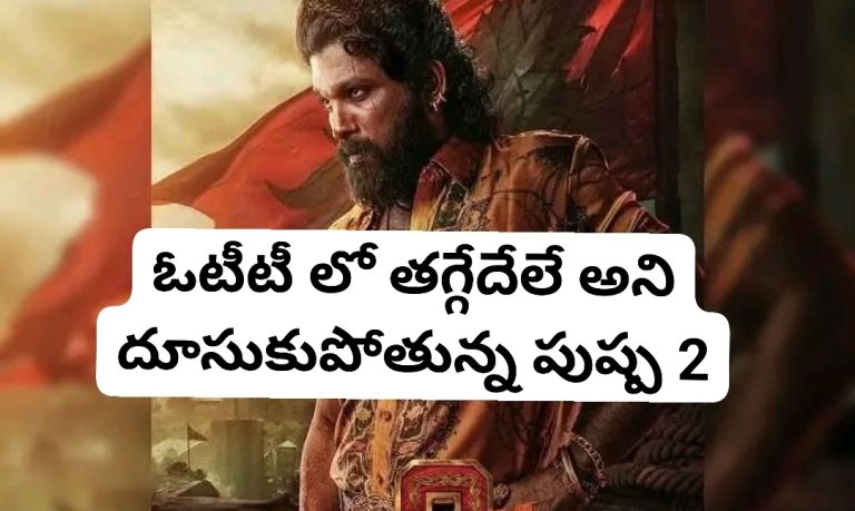 ఓటీటీ లో తగ్గేదేలే అని దూసుకుపోతున్న పుష్ప 2